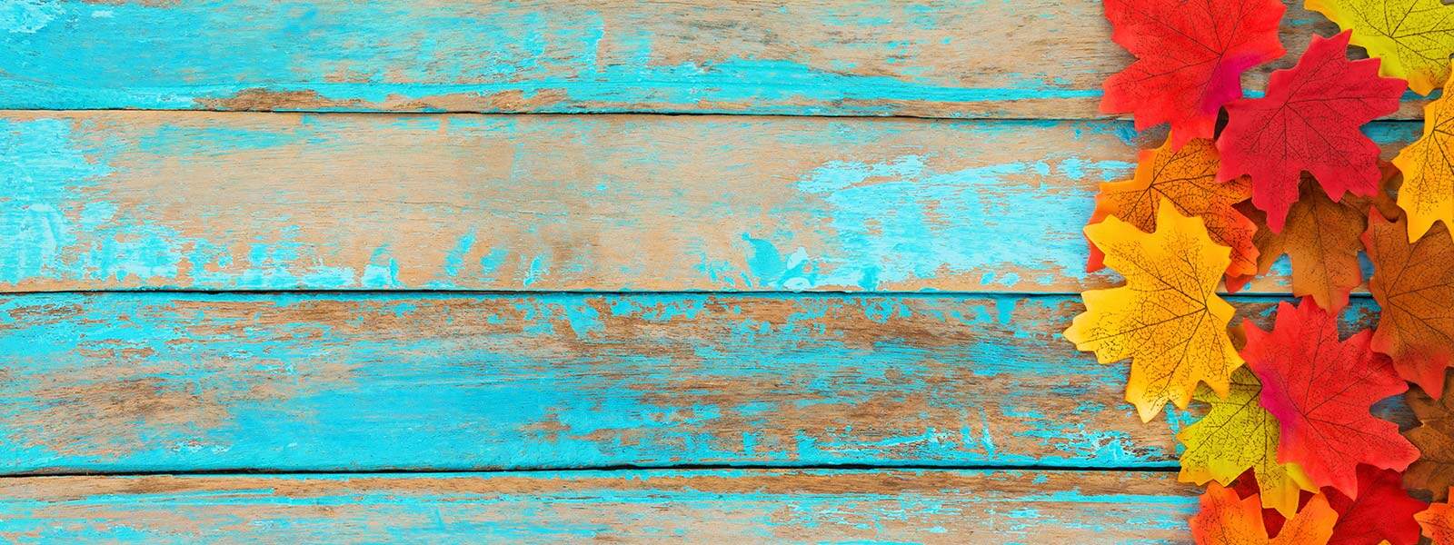 Colorful autumn maple leaves on weathered turquoise wood surface.
